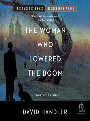 cover image of The Woman Who Lowered the Boom